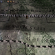 Illustration for article titled The Perfect Game Of Thrones Game Is A PC Mod